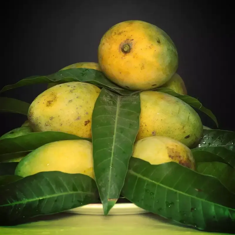 Mango Image 2