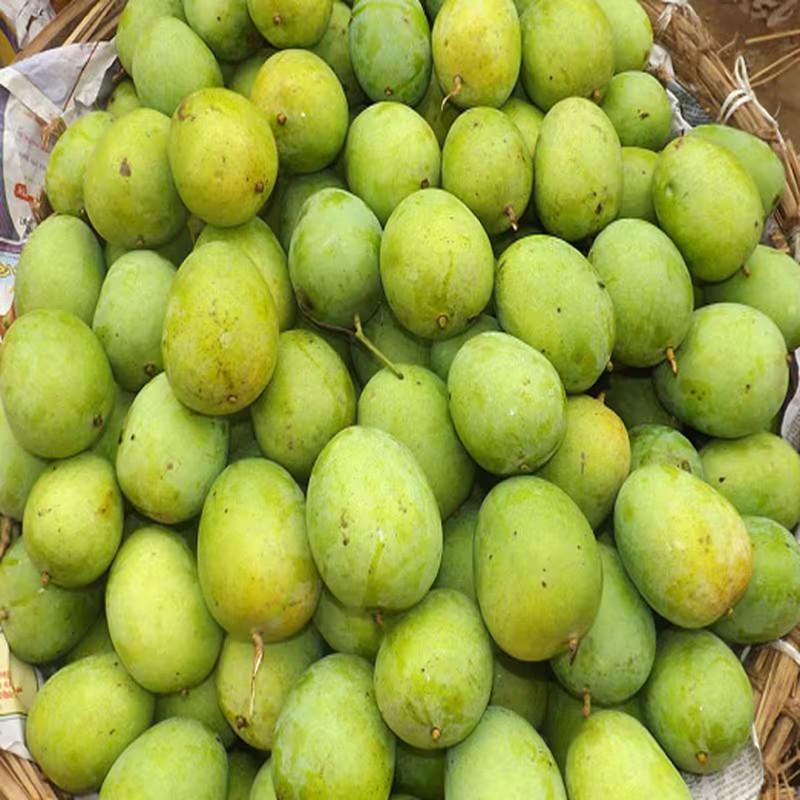 Mango Image 5