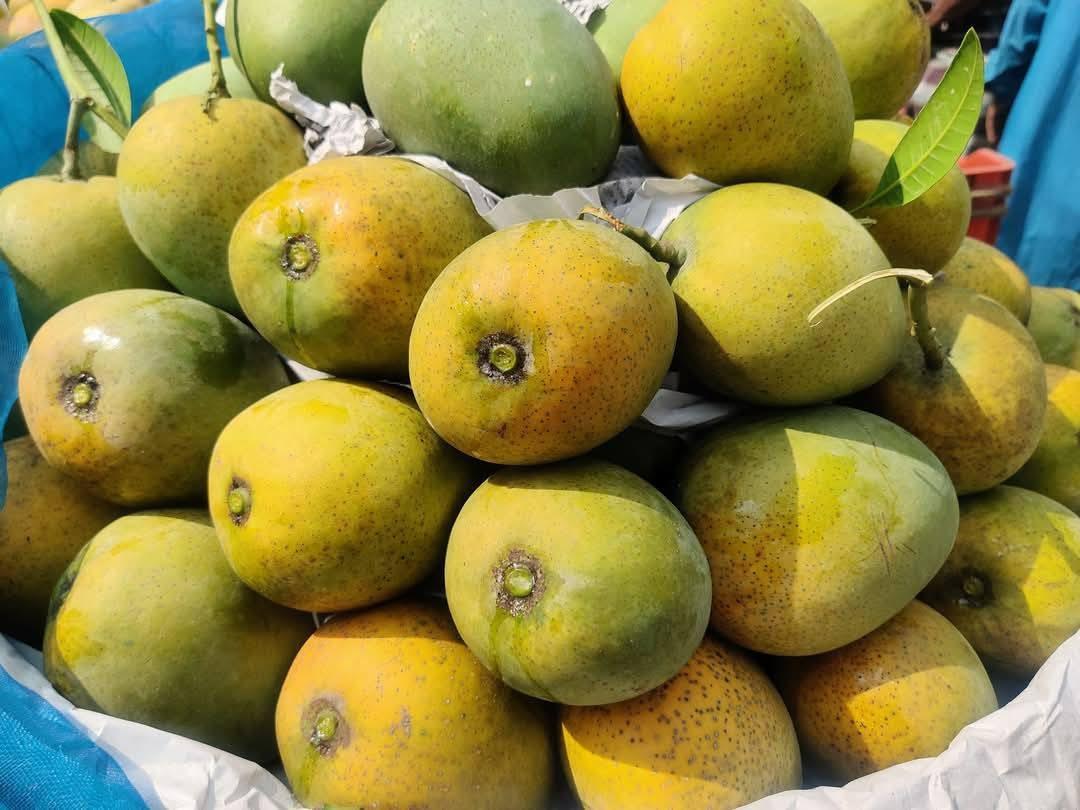 Mango Image 3