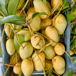 হিমসাগর আম